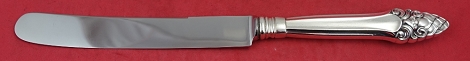 Dinner Knife old french  9 7/8
